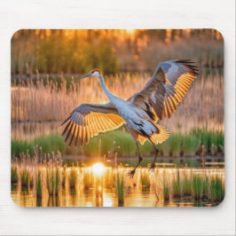 Start von SandHill Crane Mousepad