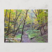 Started Rock Postcard Postkarte (Vorderseite)