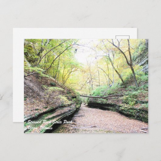 Started Rock Postcard Postkarte (Vorne/Hinten)