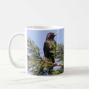 Starten in einer benutzerdefinierten Spruce-Tree-T Kaffeetasse