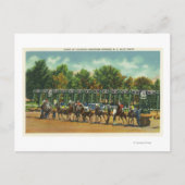 Startlinienansicht für Saratoga Postkarte (Vorderseite)