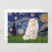 Startnight - Weiße Persische Katze Postkarte (Vorne/Hinten)