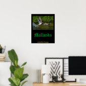 Startplakat von Mallard Poster (Heimbüro)