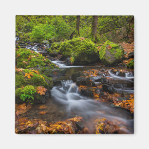 Starvation Creek Falls Columbia Gorge, Oregon Magnet