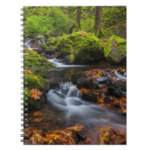 Starvation Creek Falls Columbia Gorge, Oregon Notizblock