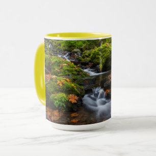 Starvation Creek Falls Columbia Gorge, Oregon Tasse