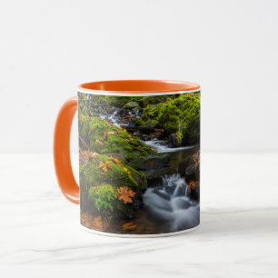 Starvation Creek Falls Columbia Gorge, Oregon Tasse