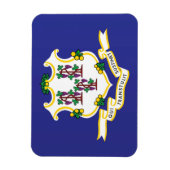 State Flag of Connecticut, USA Magnet (Vertikal)