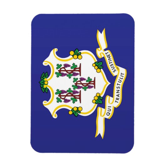 State Flag of Connecticut, USA Magnet (Vertikal)