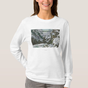 State Park Gorge Hängebrücke Aussicht in T-Shirt
