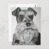 State Schnauzer Postkarte (Vorne/Hinten)