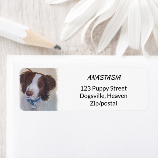 STATELLE AUBURN SETTER MIX (Insitu)