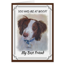 STATELLE AUBURN SETTER MIX