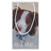 STATELLE AUBURN SETTER MIX KLEINE GESCHENKTÜTE (Rückseite)