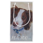 STATELLE AUBURN SETTER MIX KLEINE GESCHENKTÜTE (Vorderseite)