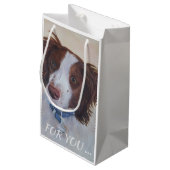 STATELLE AUBURN SETTER MIX KLEINE GESCHENKTÜTE (Rückseite Schrägansicht)