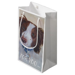 STATELLE AUBURN SETTER MIX KLEINE GESCHENKTÜTE