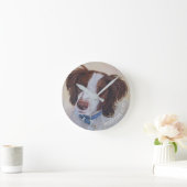 STATELLE AUBURN SETTER MIX RUNDE WANDUHR (Zuhause)