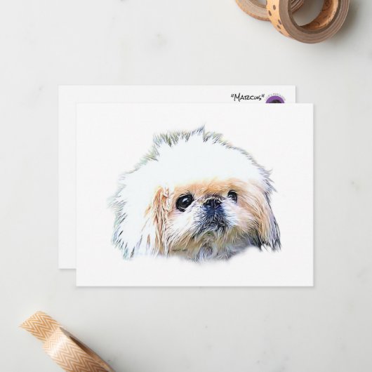 Stationäre, leere Mitteilungskarten mit Marcus (Vorderseite/Rückseite Beispiel)