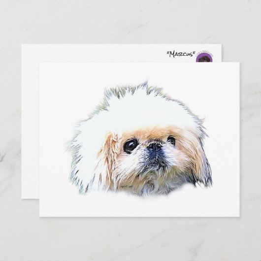 Stationäre, leere Mitteilungskarten mit Marcus (Vorne/Hinten)