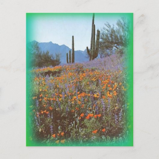 Stationäre Vintage Kaktus (Vorderseite)