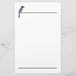 Stationery - Blue Jay Briefpapier