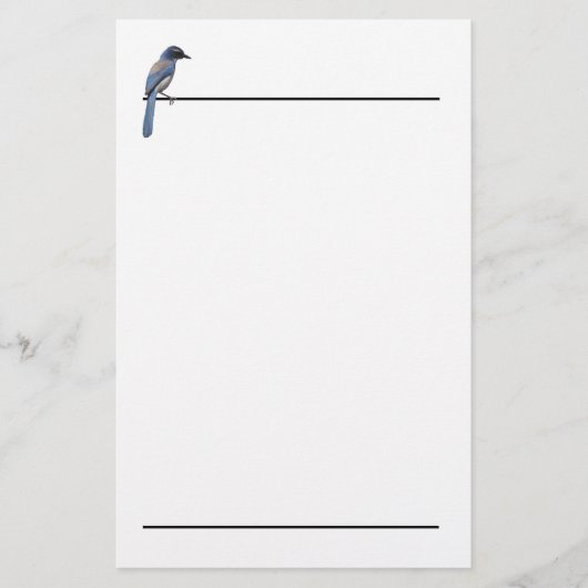 Stationery - Blue Jay Briefpapier (Vorderseite)