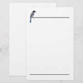Stationery - Blue Jay Briefpapier (Vorne/Hinten)