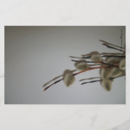 Stationery Sheets (PussyWillows) RFPMDesign ©️ 201 Briefpapier