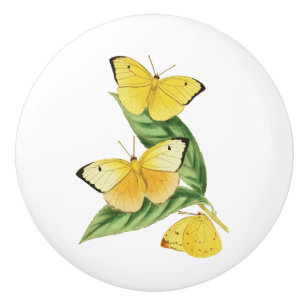 Statira-Schmetterling Keramikknauf
