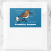 Statistik der Spoon-billed Sandpiper Rechteckiger Aufkleber (Tasche)