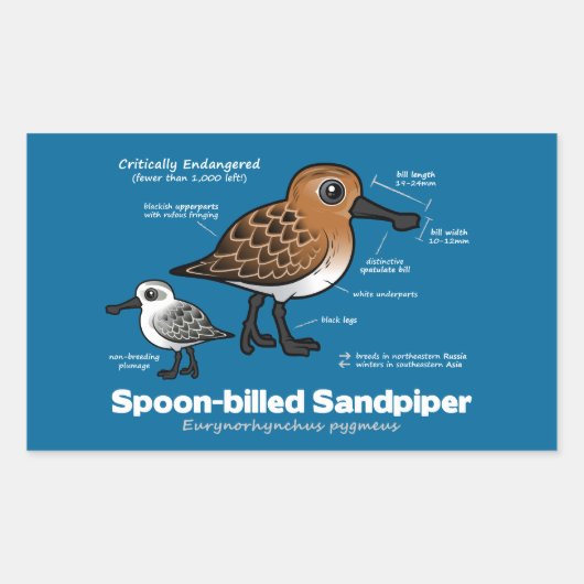 Statistik der Spoon-billed Sandpiper Rechteckiger Aufkleber (Vorderseite)
