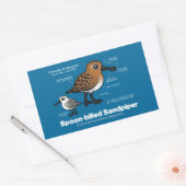 Statistik der Spoon-billed Sandpiper Rechteckiger Aufkleber (Umschlag)
