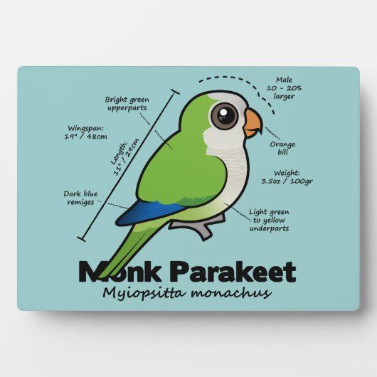 Statistik zum Mondparakeet Fotoplatte (Vorderseite)