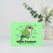 Statistik zum Mondparakeet Postkarte (Stehend Vorderseite)