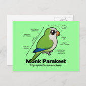 Statistik zum Mondparakeet Postkarte (Vorne/Hinten)
