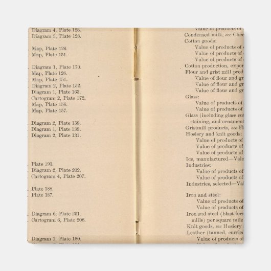 Statistischer Atlas 1900 9 Magnet (Vorne)