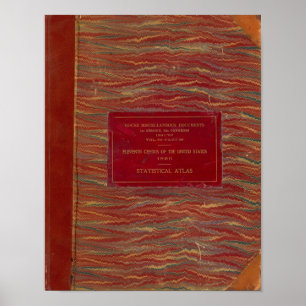 Statistischer Atlas Vereinte Staaten Poster