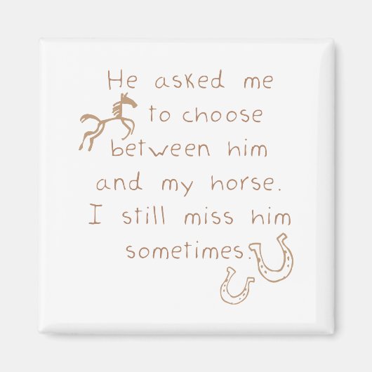 Stattdessen Behielt das Pferd Magnet (Vorne)