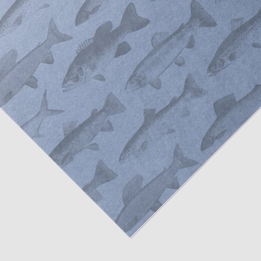 Stattdessen fischen wir nach eigenem Fangmuster Seidenpapier (Ausschnitt)