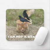 Statue Cat? Mousepad (Mit Mouse)