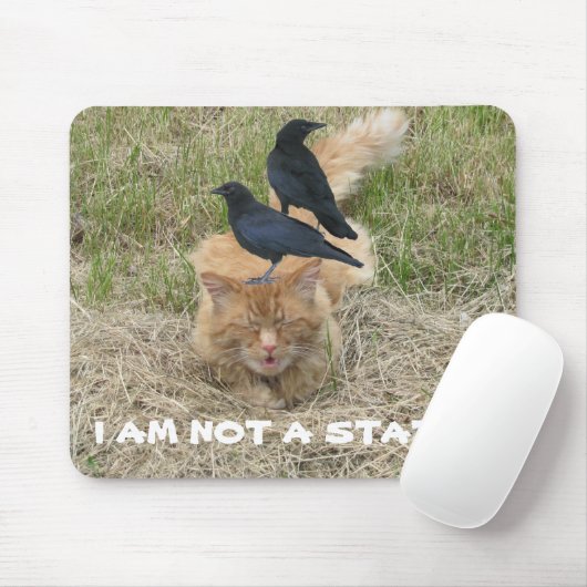 Statue Cat? Mousepad (Mit Mouse)