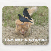 Statue Cat? Mousepad (Vorne)