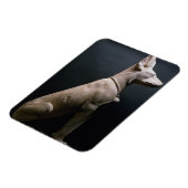 Statue eines Hundes, Mesopotamien, c.5000-1000 v. Magnet (Linke Seite)