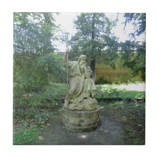 Statue eines Waliser-Druiden bei Erddig Hall Fliese (Vorderseite)