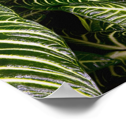 Statue in einem Garten Informationen: Chiang Ma Poster (Ecke)