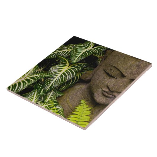 Statue in Garten-Standortinformationen: Chiang MA Fliese (Seite)