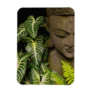 Statue in Garten-Standortinformationen: Chiang MA Magnet