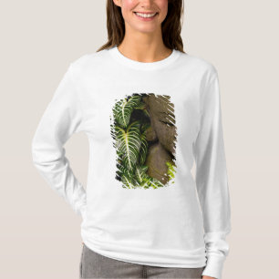 Statue in Garten-Standortinformationen: Chiang MA T-Shirt