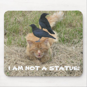 Statue-Katze? Mousepad